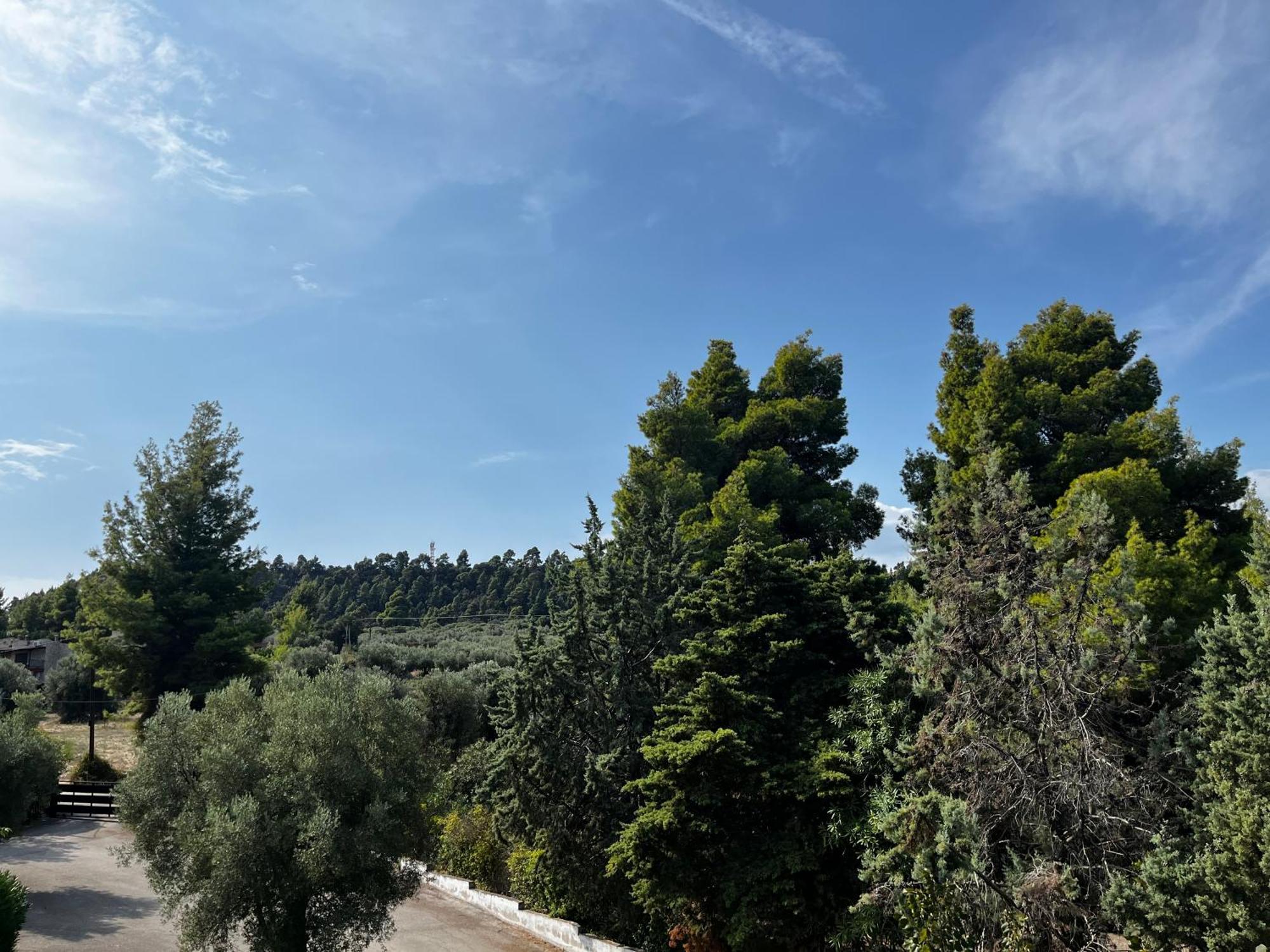 Paradise Κρυοπηγή Εξωτερικό φωτογραφία