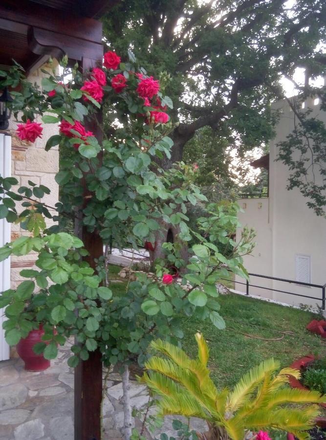 Paradise Κρυοπηγή Εξωτερικό φωτογραφία