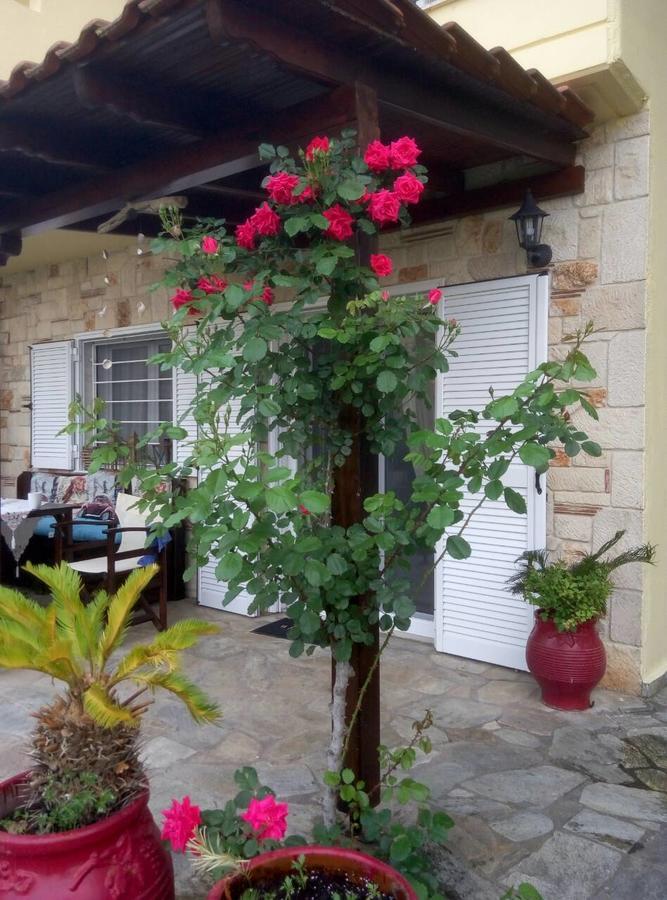 Paradise Κρυοπηγή Εξωτερικό φωτογραφία