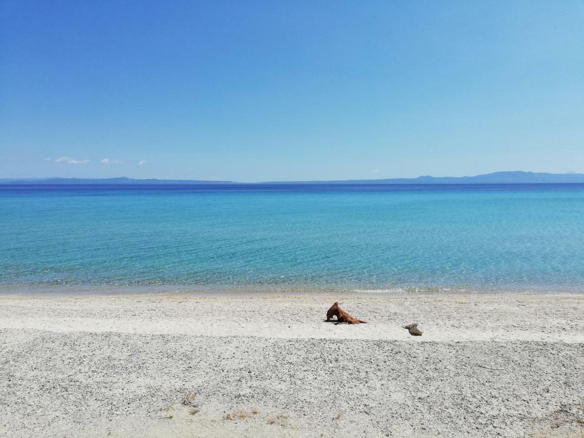 Paradise Κρυοπηγή Εξωτερικό φωτογραφία